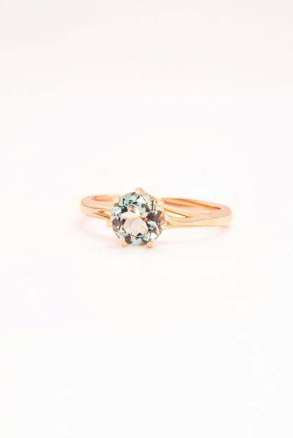 Caiyu Vine Blue Tourmaline Ring